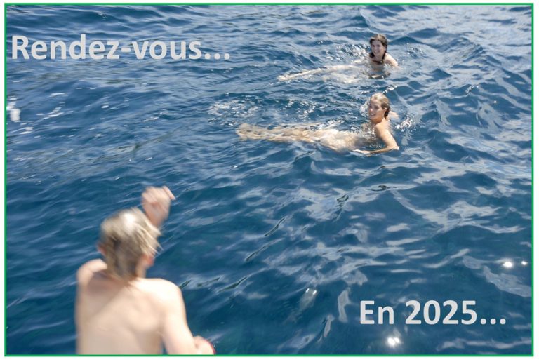 Joyeuses fêtes et bonne année !