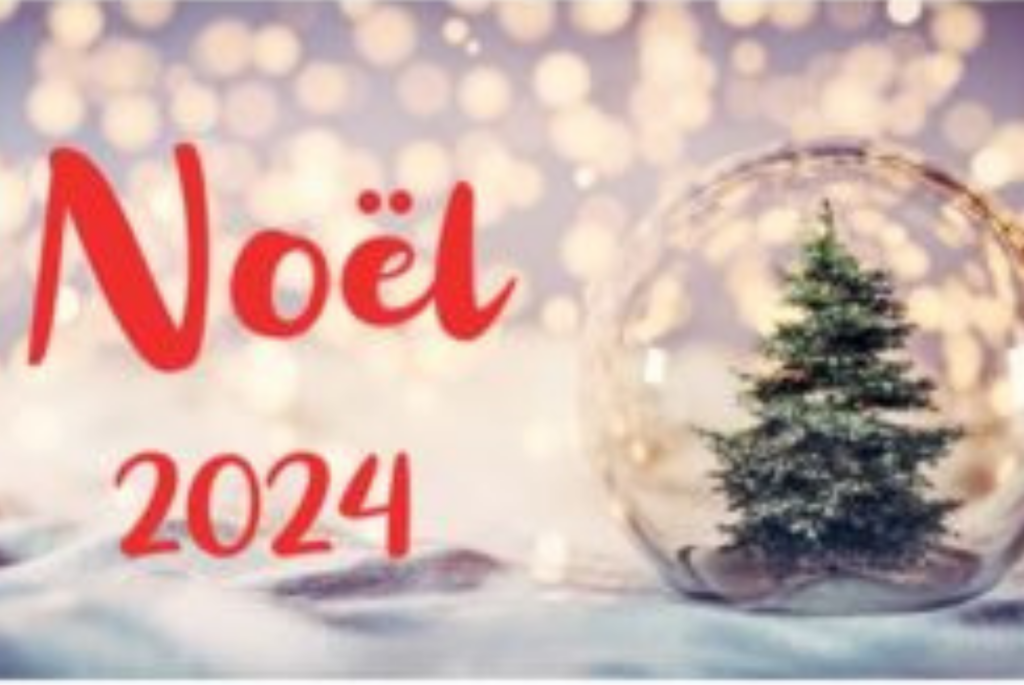 Concours photo de Noël 2024 de la FFN