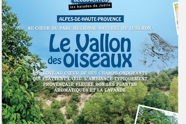 Le vallon des oiseaux, près du Verdon