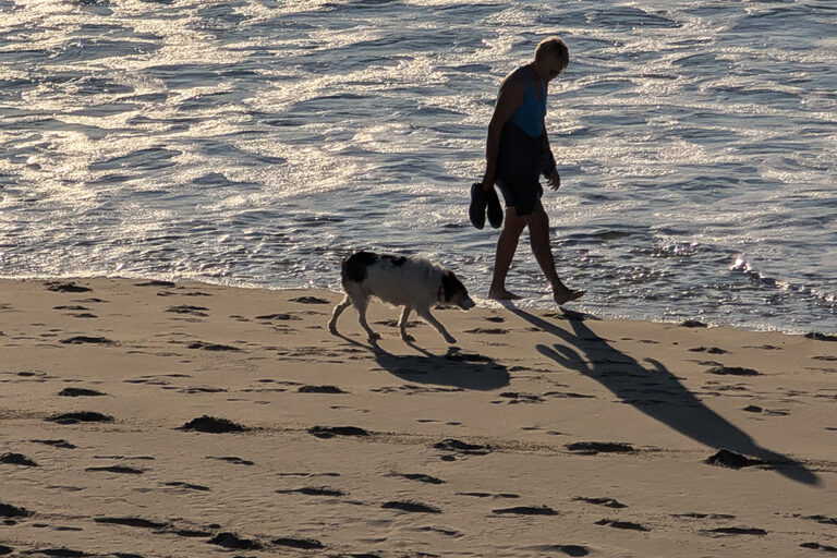 Liberté, naturisme et poésie
