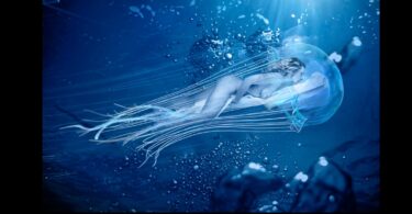 jean-banq-invite-d’honneur-a-villereal