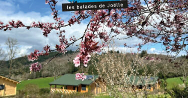 le-domaine-de-la-gagere,-en-bourgogne