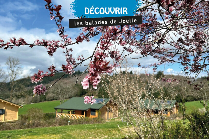 le-domaine-de-la-gagere,-en-bourgogne