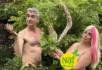 feuille-de-vigne,-de-figue,-et-cache-sexe