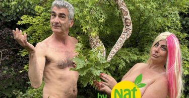 feuille-de-vigne,-de-figue,-et-cache-sexe