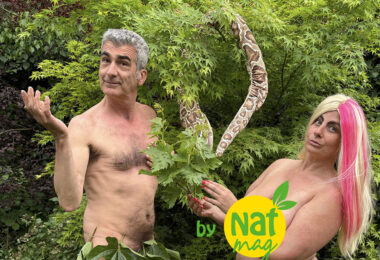 feuille-de-vigne,-de-figue,-et-cache-sexe