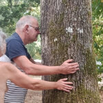 En Mayenne, une sylvothérapie très naturiste