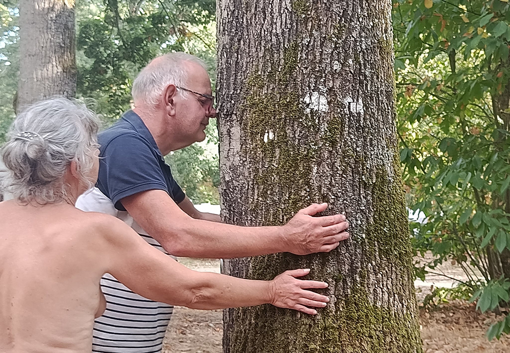 En Mayenne, une sylvothérapie très naturiste